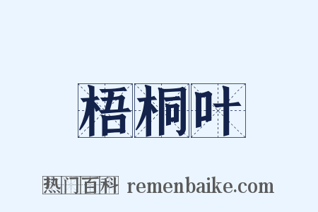 梧桐叶是什么意思的图片